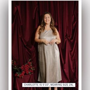 Smash + Tess Tank Maxi Dress in Silver Shimmer